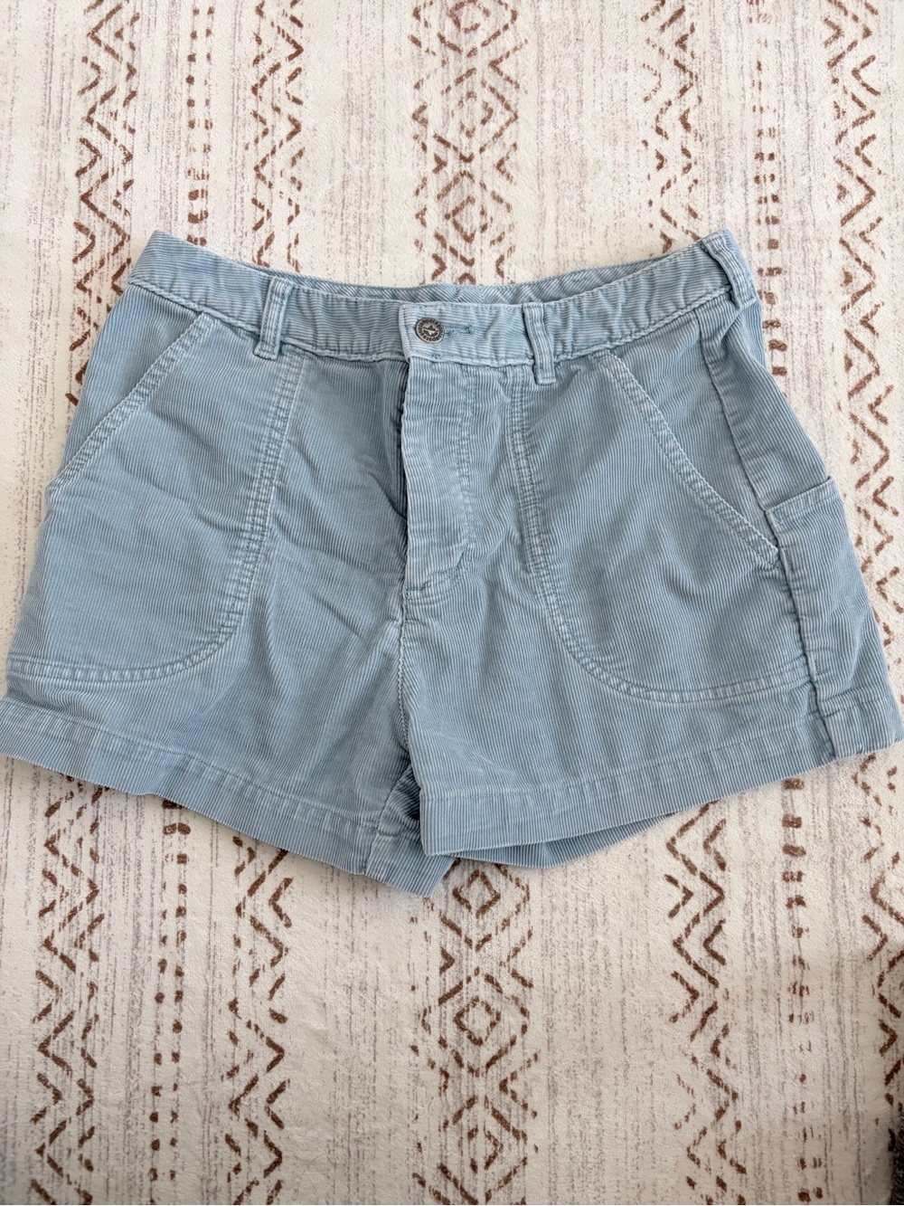 Patagonia Pale Blue High-Waist Corduroy Shorts